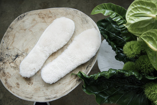 Ugg Insoles